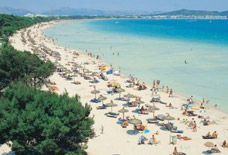 Last minute Alcudia